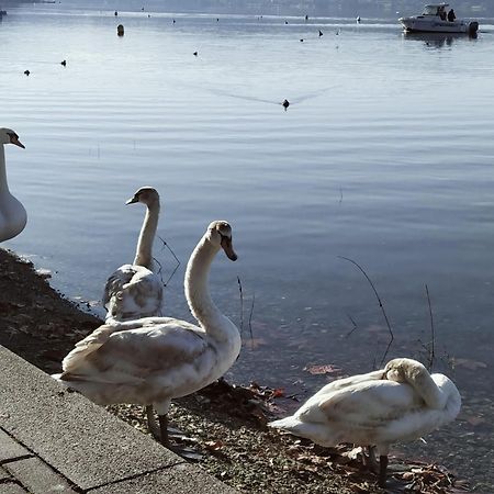 La Casetta Sul Lago Viverone Exterior foto